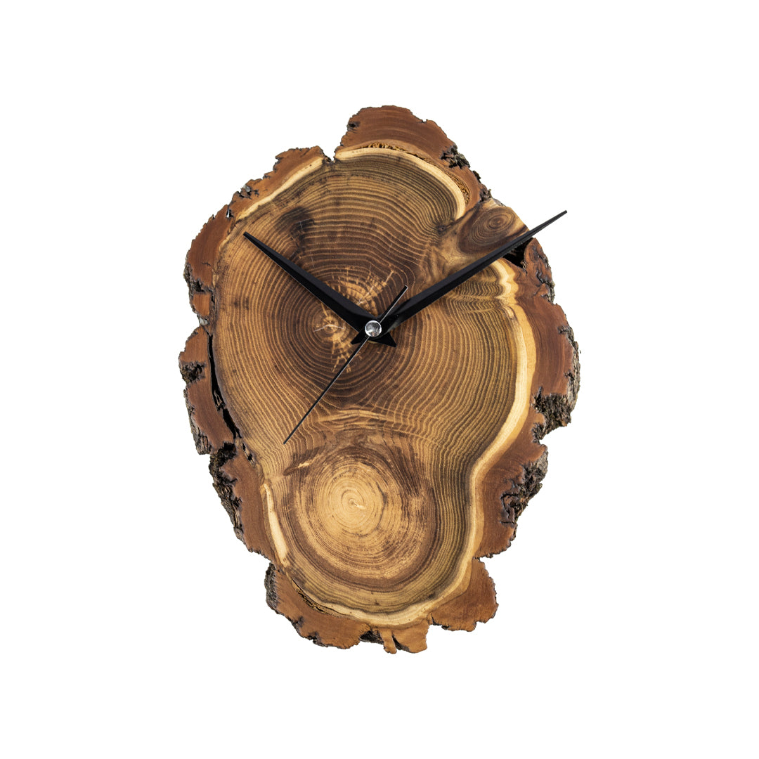 Duvar Saati Akasya Ağacı