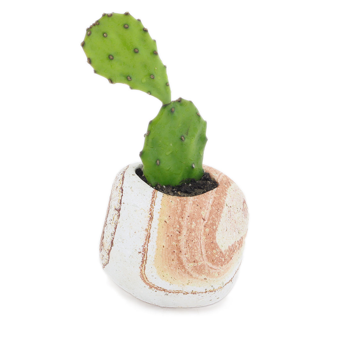 Doğal Taş Rainbow Çiçek Saksısı