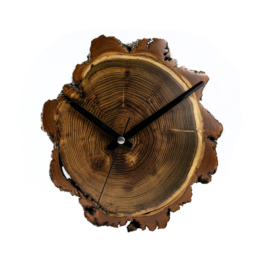 Duvar Saati Akasya Ağacı