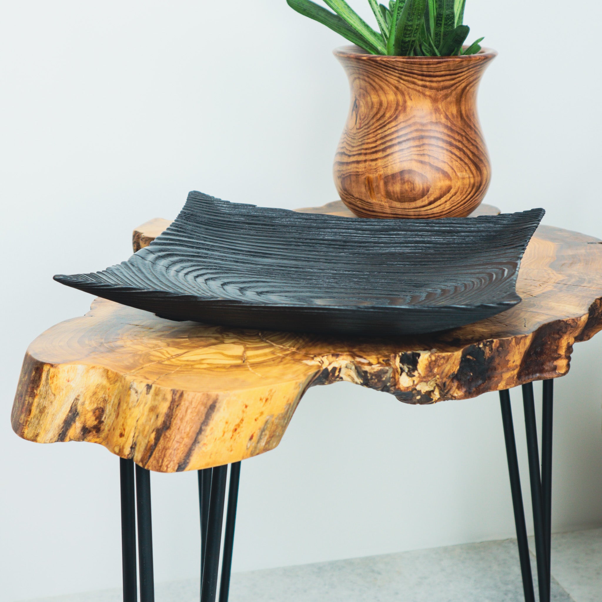 Köknar Ağacı Siyah Tabak