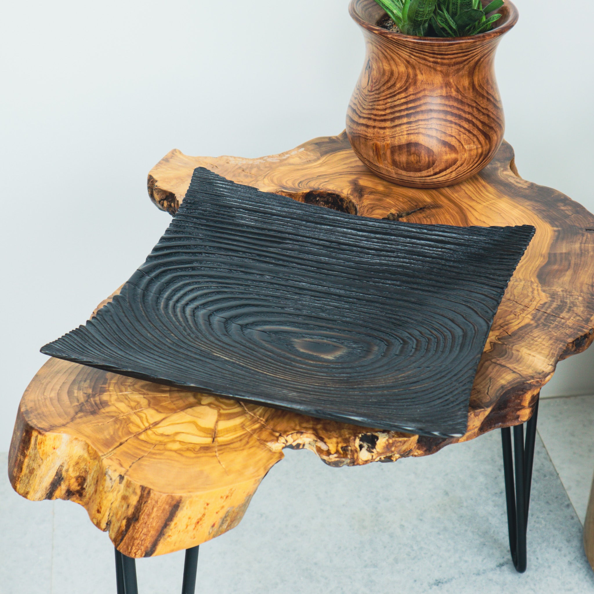 Köknar Ağacı Siyah Tabak