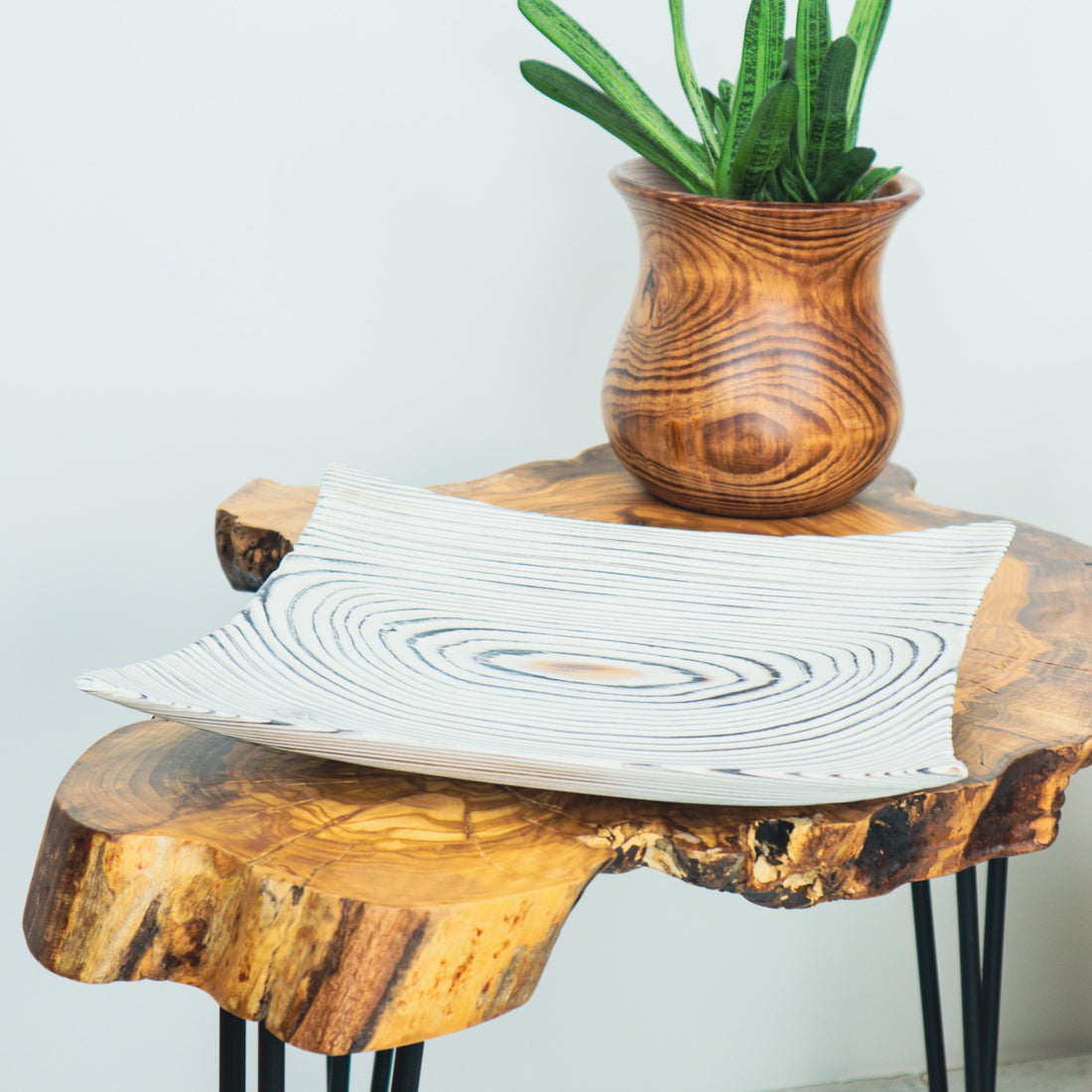 Köknar Ağacı Beyaz Tabak