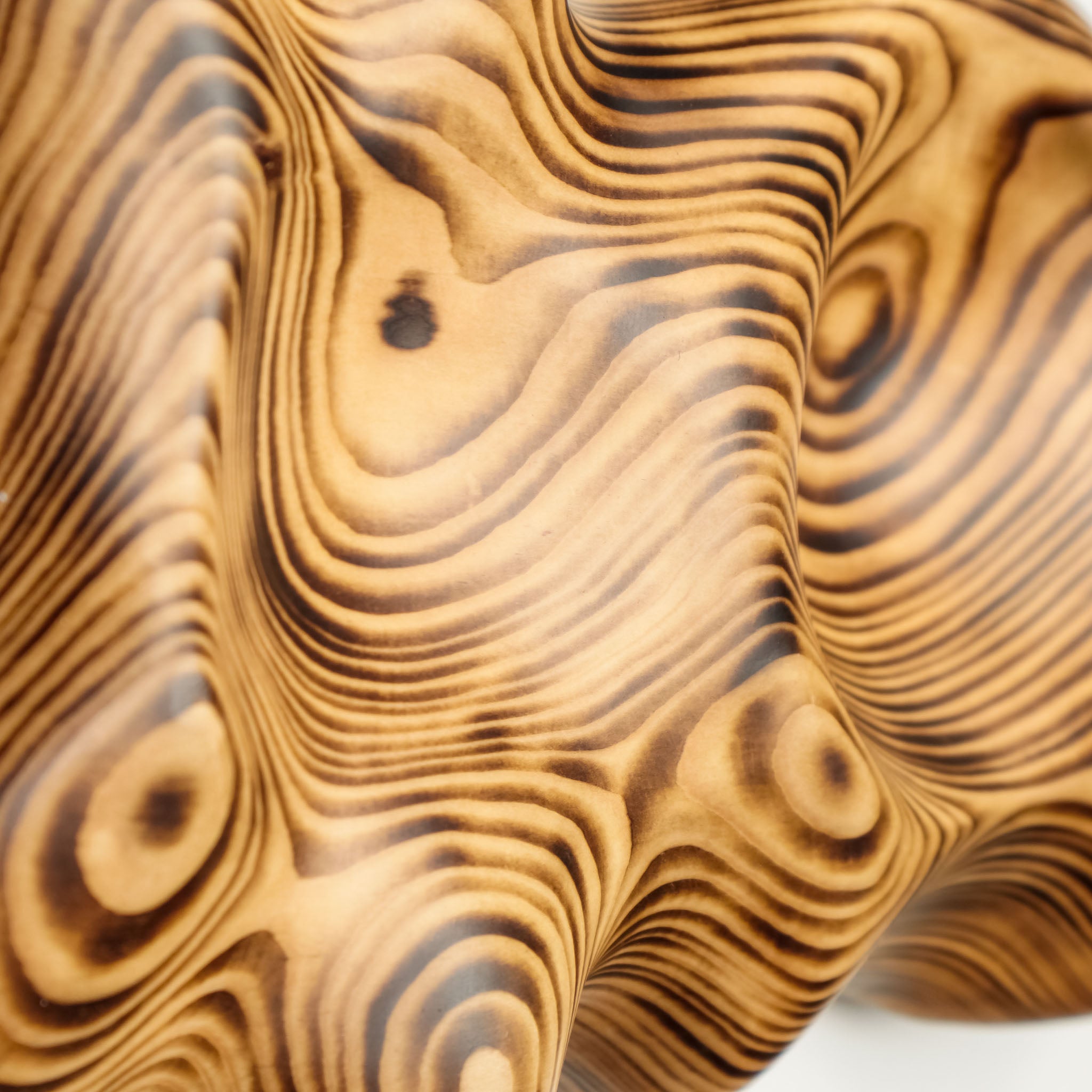 Duvar Saati Köknar Ağacı 3D