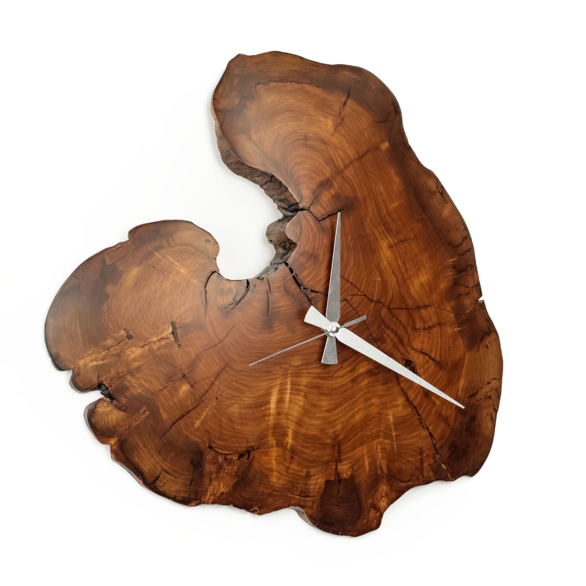 Zeytin Ağacı Duvar Saati