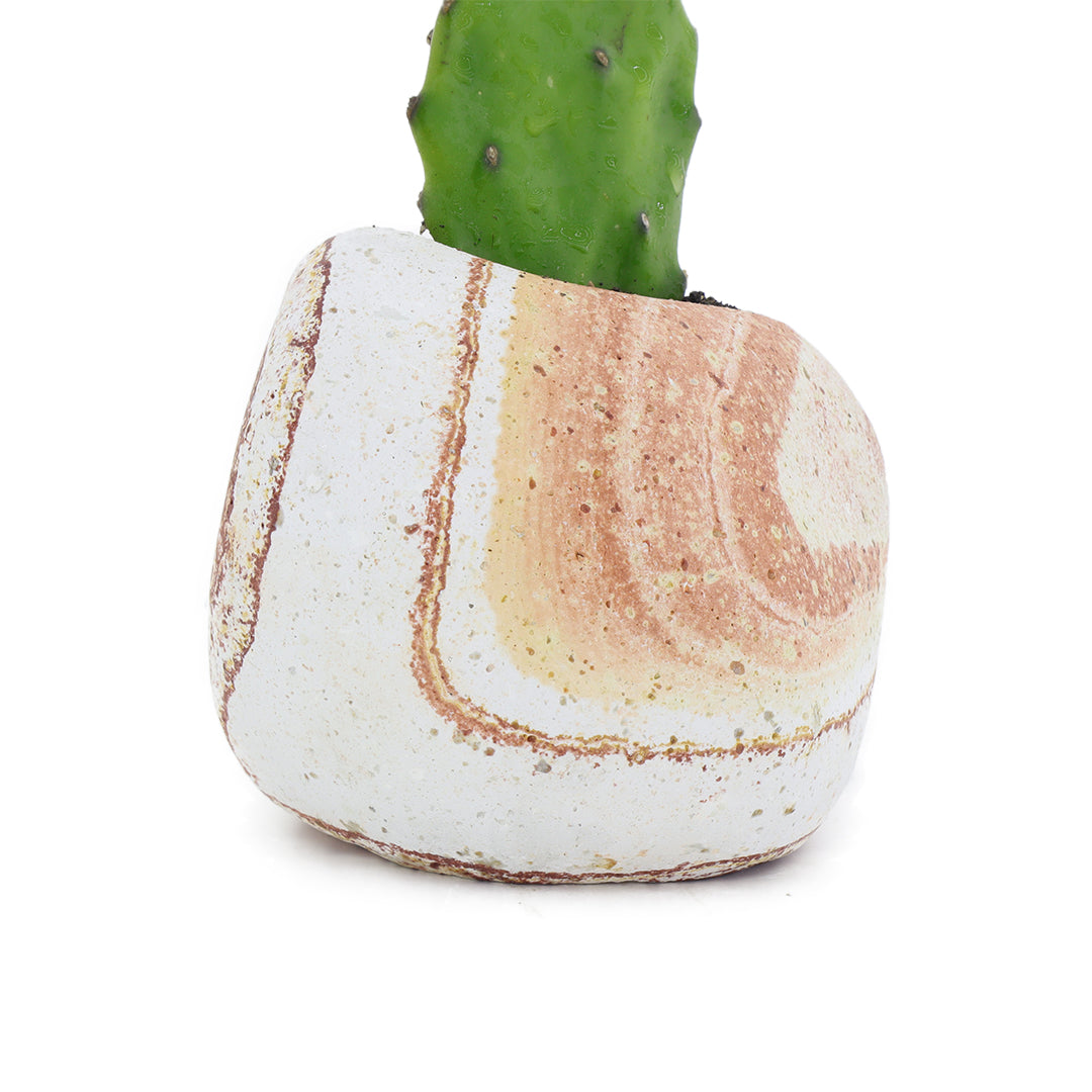 Doğal Taş Rainbow Çiçek Saksısı