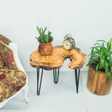 Zeytin Ağacı Sehpa