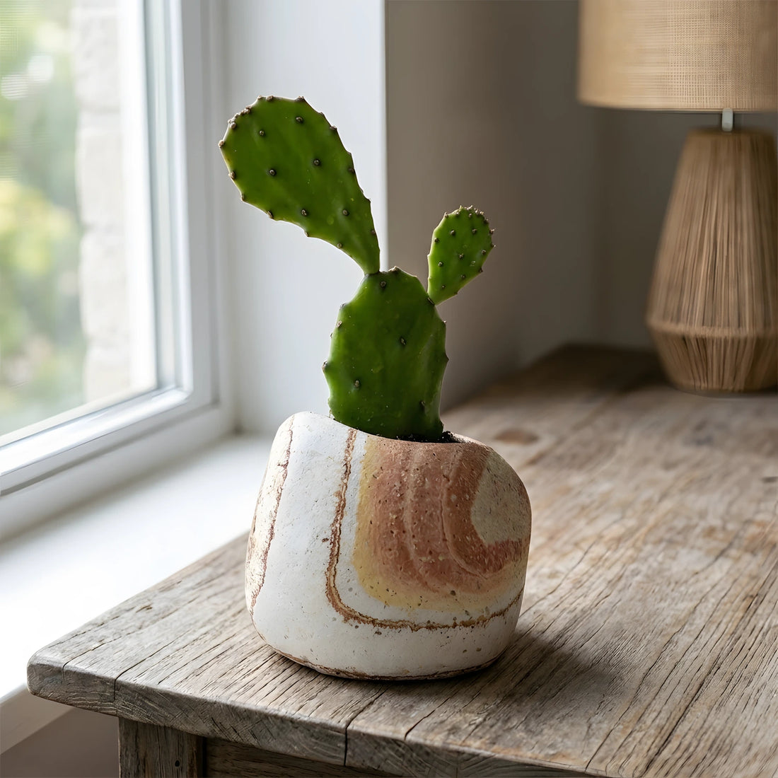 Ahşap zemin üzerinde beyaz kitapların yanında sergilenen, içinde yeşil kaktüs bulunan doğal taş gökkuşağı kumtaşı saksı.